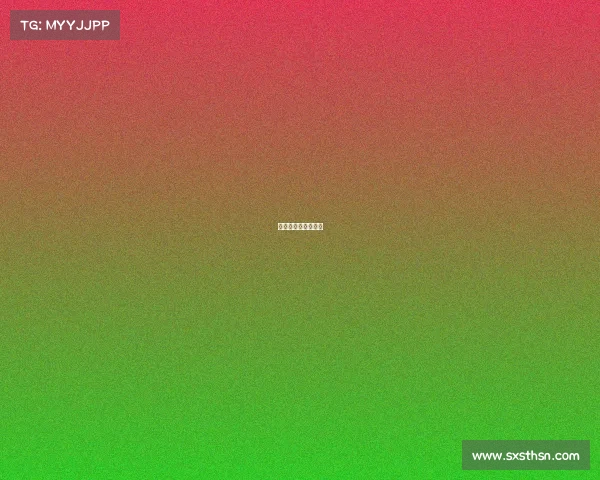 排球的几大顶级赛事